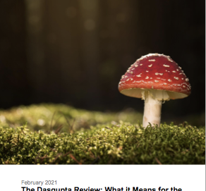 F4B Responds to the Dasgupta Review 