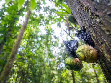 China Dialogue Series on Biodiversity