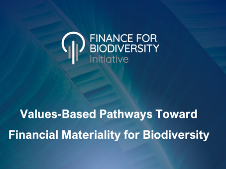 Values-Based Pathways Toward Financial Materiality for Biodiversity
