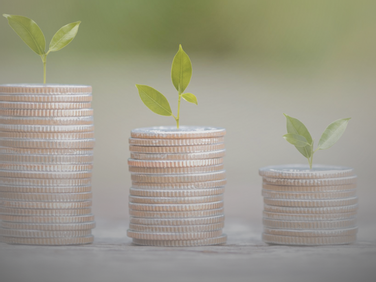 Catalyzing Nature Markets: a new programme of F4B