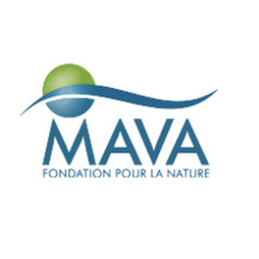 MAVA Foundation