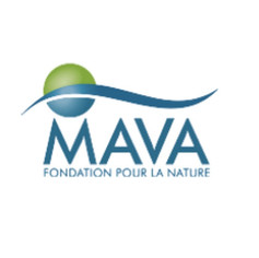 MAVA Foundation