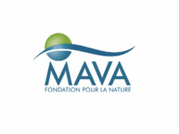 MAVA Foundation