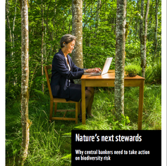 Central banks and financial supervisors need to act on nature-related risk, warns new WWF report