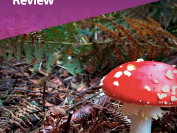 The Dasgupta Review published