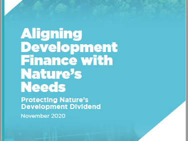 F4B Report: World’s development banks endangering vulnerable ecosystems worth US$1.1 trillion/year