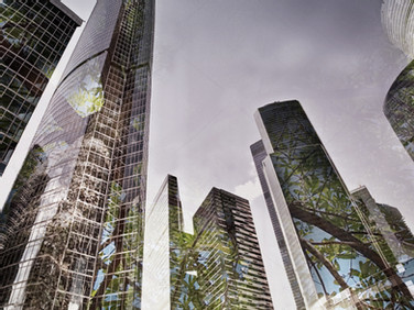 F4B celebrates today’s launch of the Taskforce on Nature-related Financial Disclosures (TNFD)