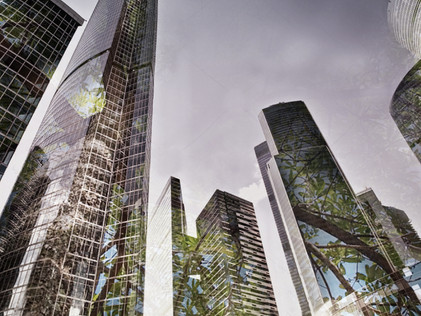 F4B celebrates today’s launch of the Taskforce on Nature-related Financial Disclosures (TNFD)