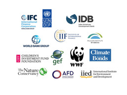 Working Group on Debt for Nature