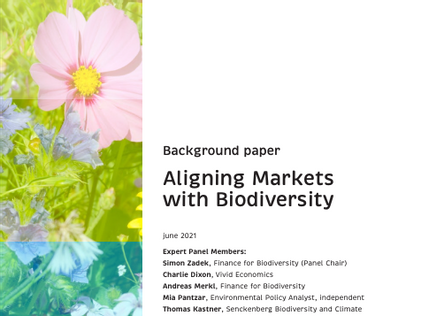 Mistra releases report on how biodiversity and the financial system are linked