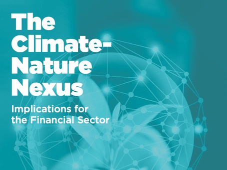 The Climate-Nature Nexus: Implications for the Financial Sector